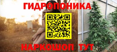 кокс Нальчик