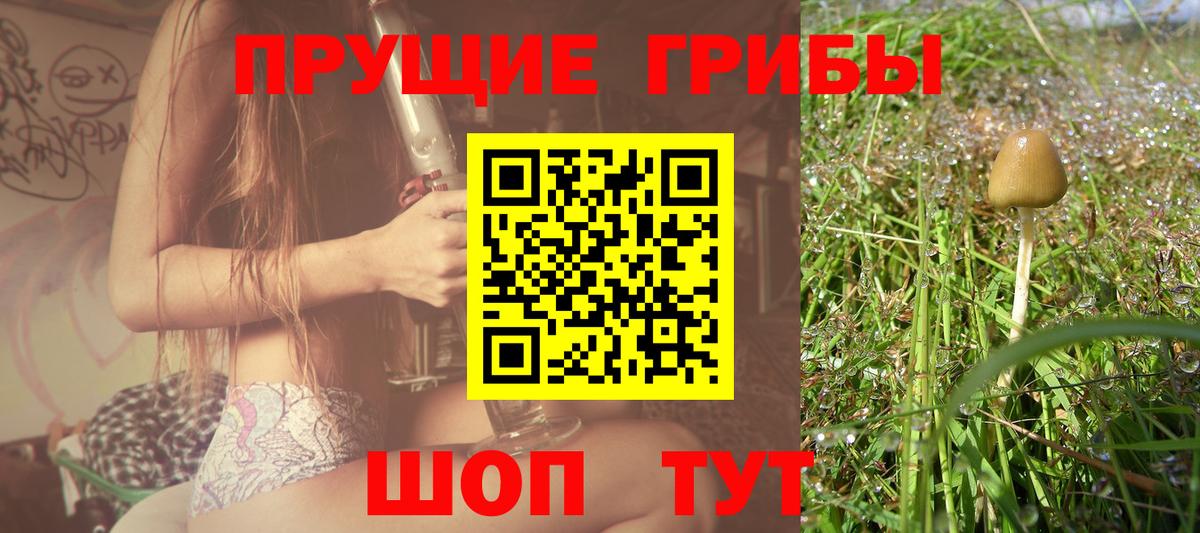 Верхняя Пышма  Галлюциногенные грибы мухоморы  купить закладку  Вход с VPN 