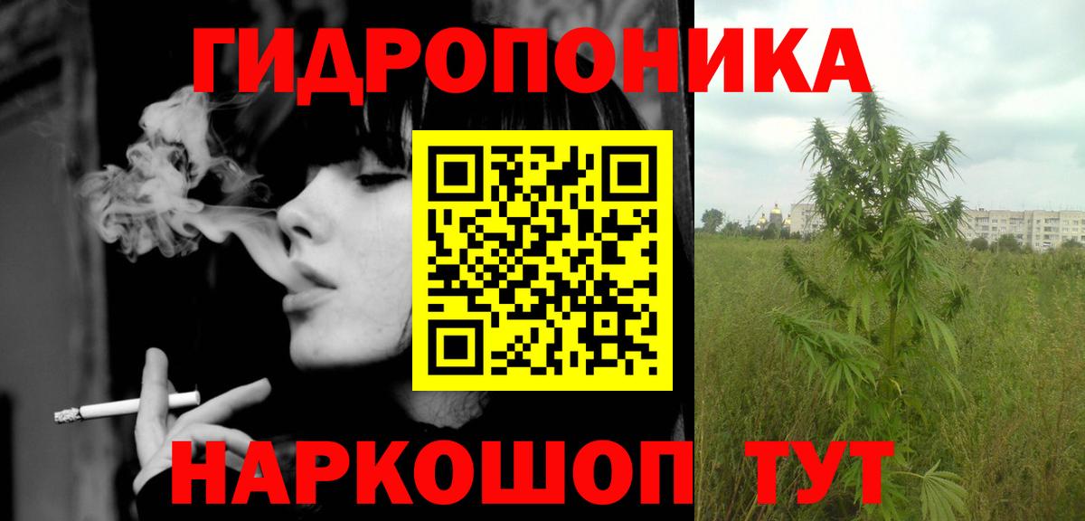 Бошки марихуана планчик  Марихуана AK-47  Марихуана марихуана  Вход с VPN  Верхняя Пышма 